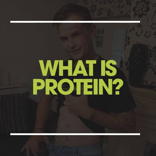 what is protein